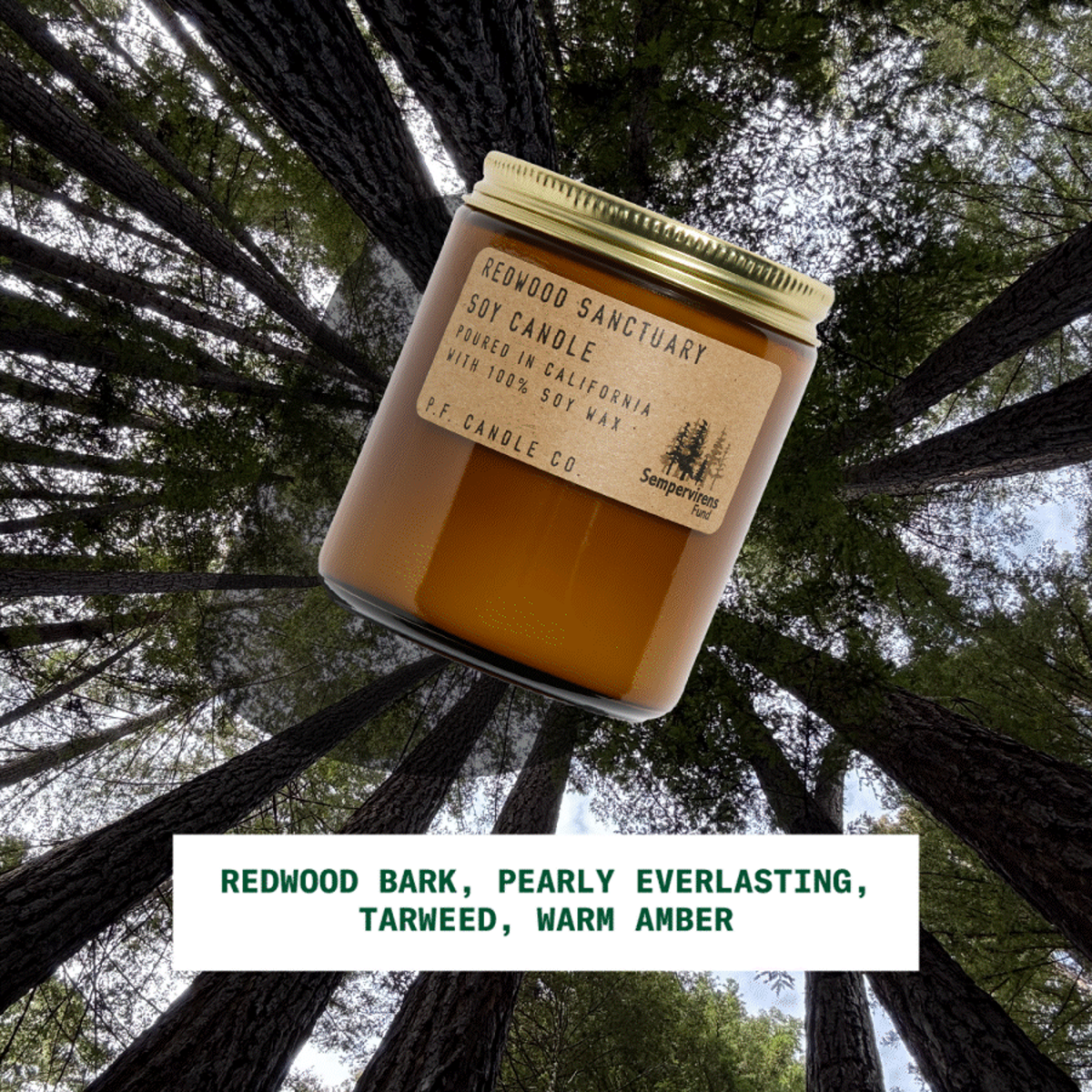 Redwood Sempervirens Fund 7.2oz alternate view