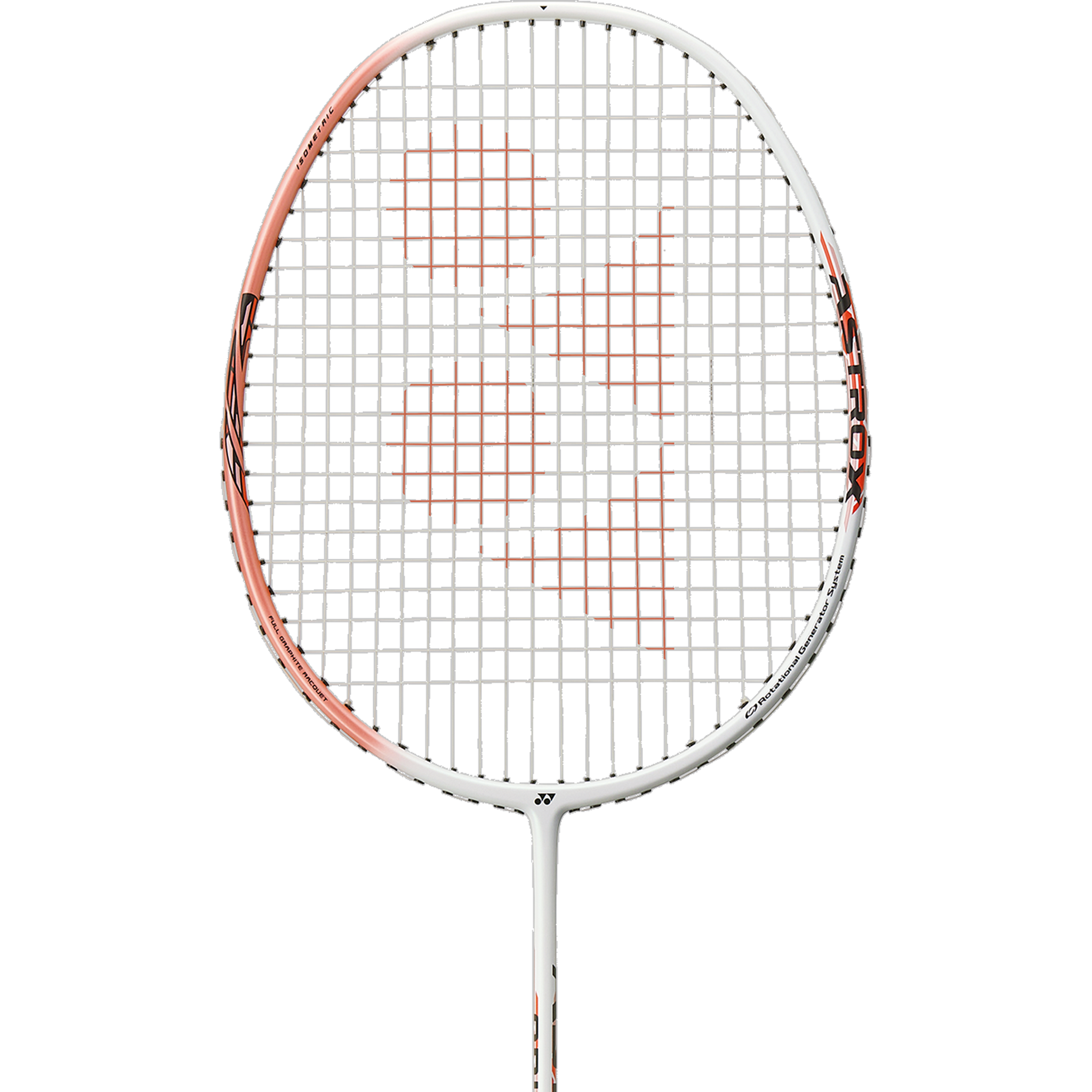 ASTROX 01 Ability 4U (Strung) alternate view