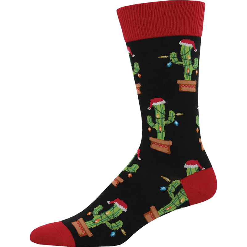 Christmas Cactus, Featured Image