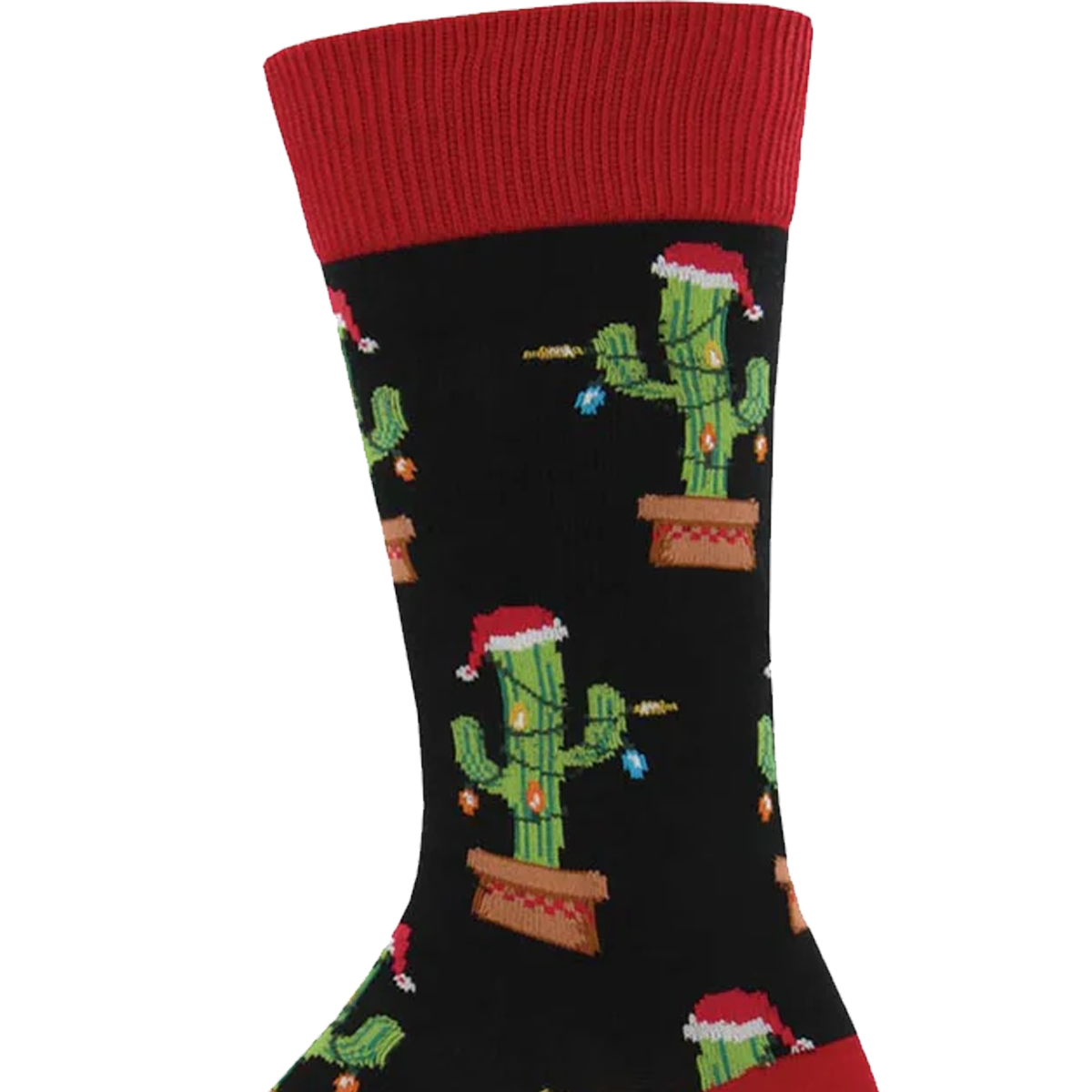 Christmas Cactus alternate view
