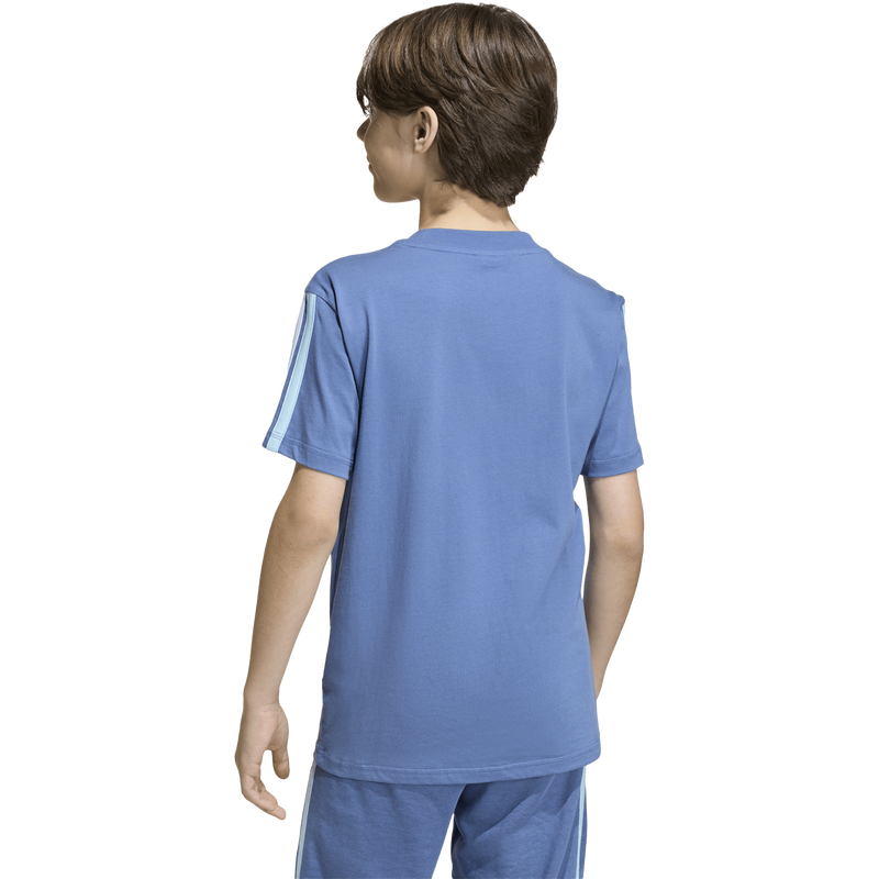 Youth Argentina AFA DNA Tee, Adidas Youth Argentina AFA DNA Tee Back