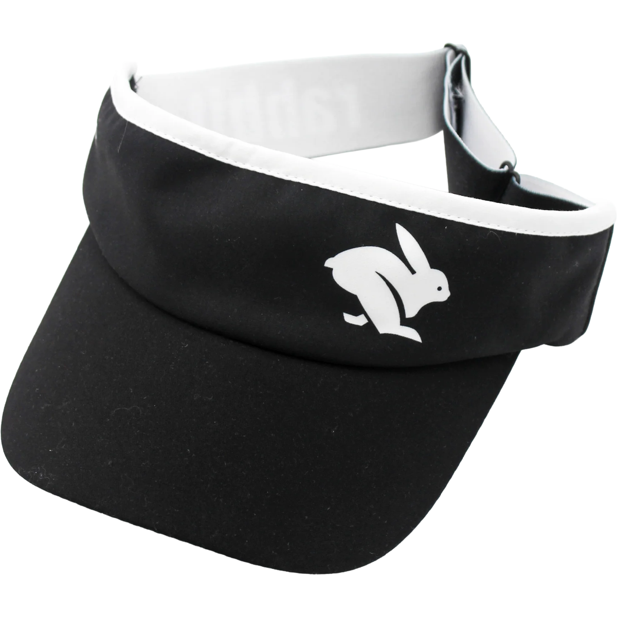 Visor alternate view