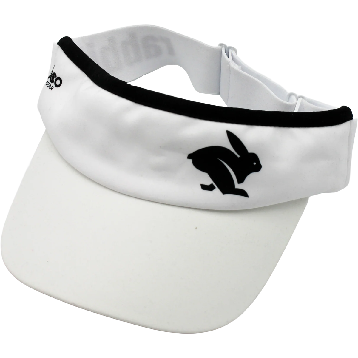 Visor alternate view