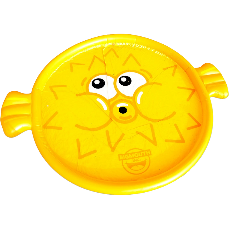 Pufferfish Splash Pad, Featured Image