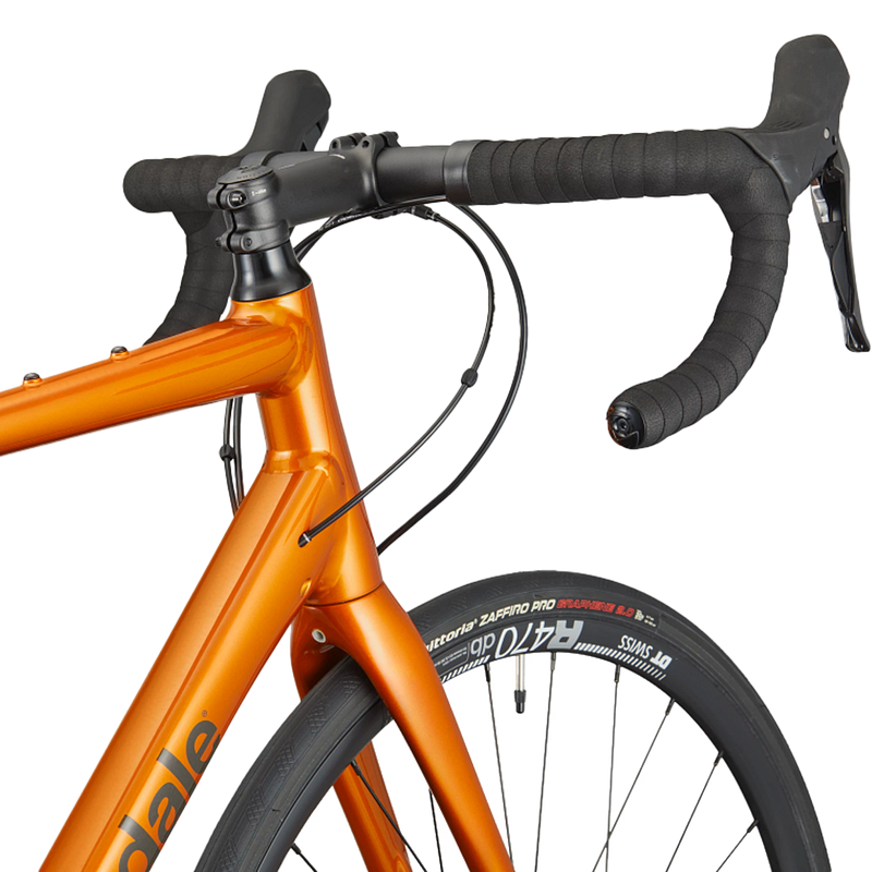 Synapse 2 – Sports Basement Synapse 2 – Sports Basement