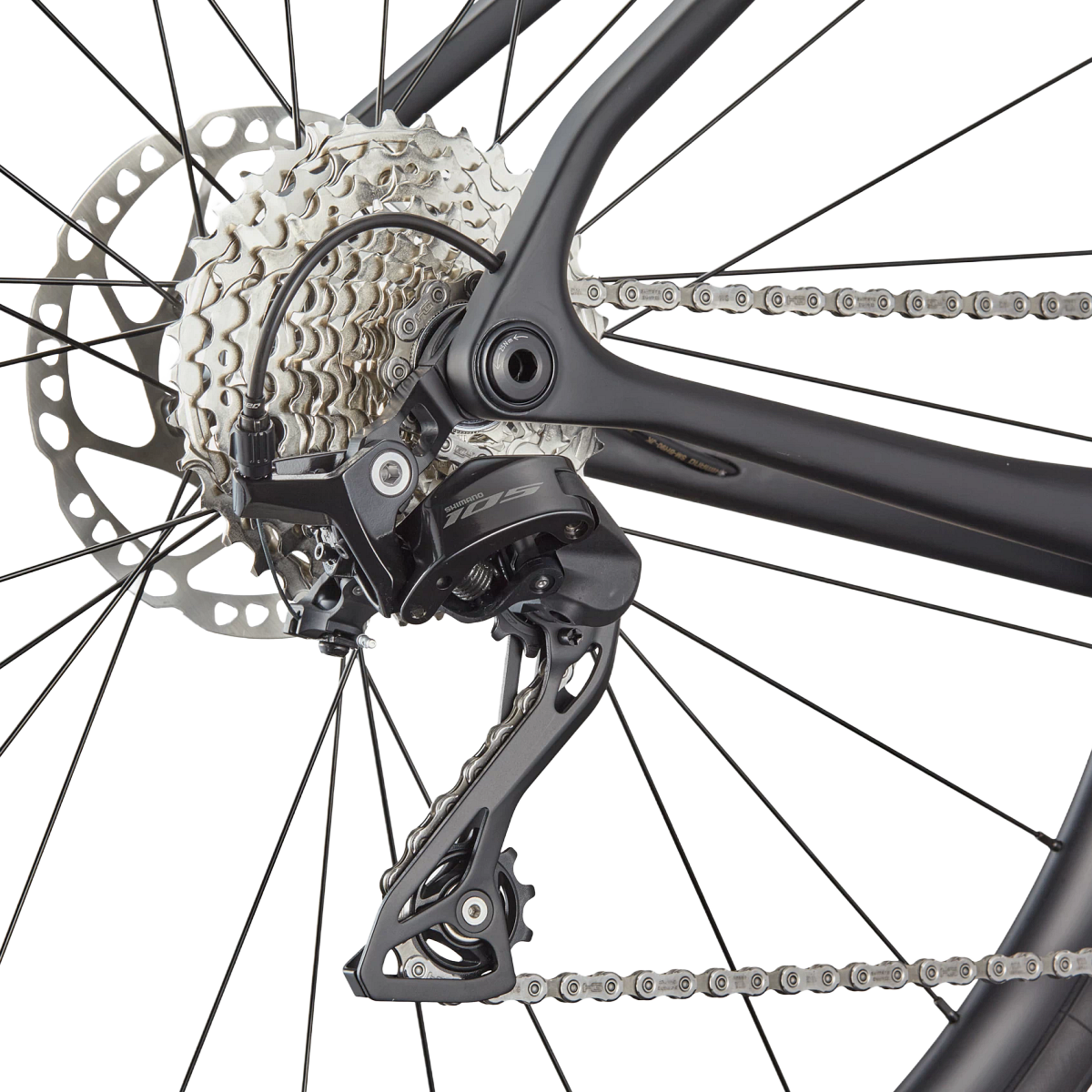 Synapse Carbon 5 – Sports Basement