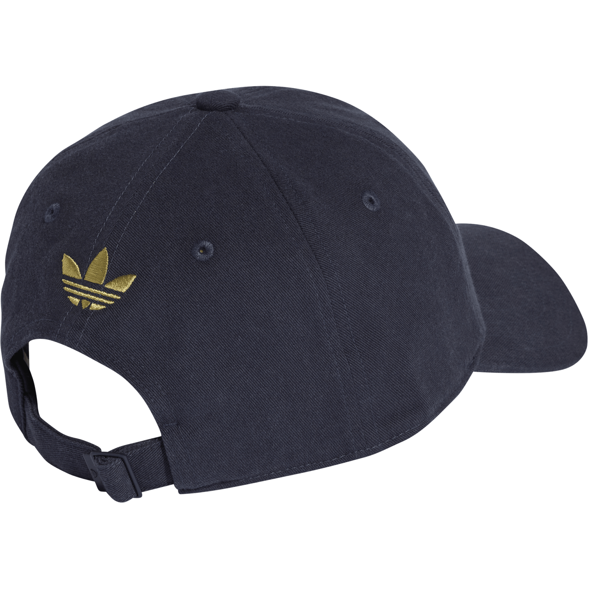 Argentina AFA Dad Cap alternate view