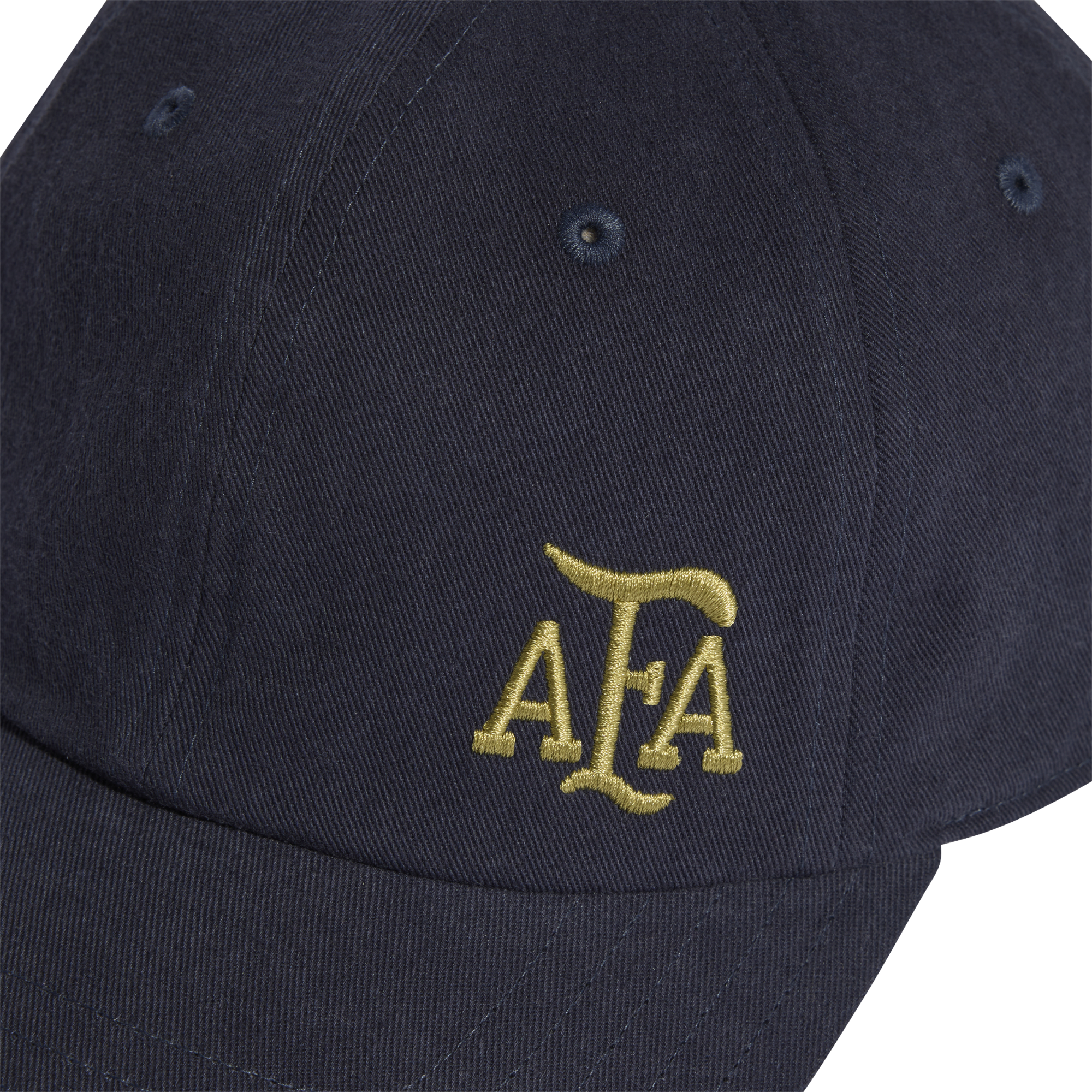 Argentina AFA Dad Cap alternate view