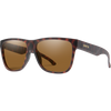 Matte Tortoise/ChromaPop Polarized Brown