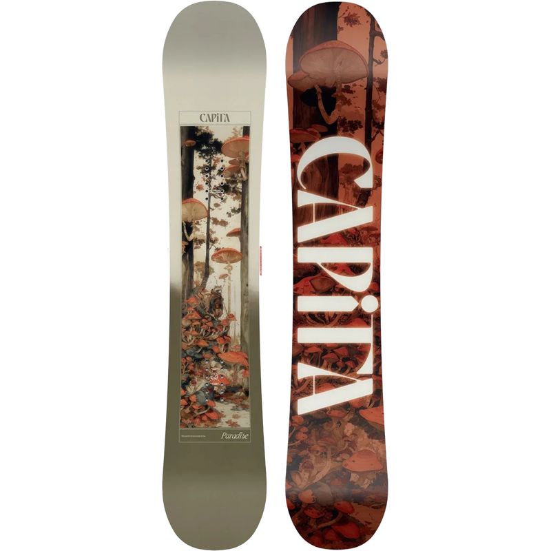 Women's Paradise, Featured Image