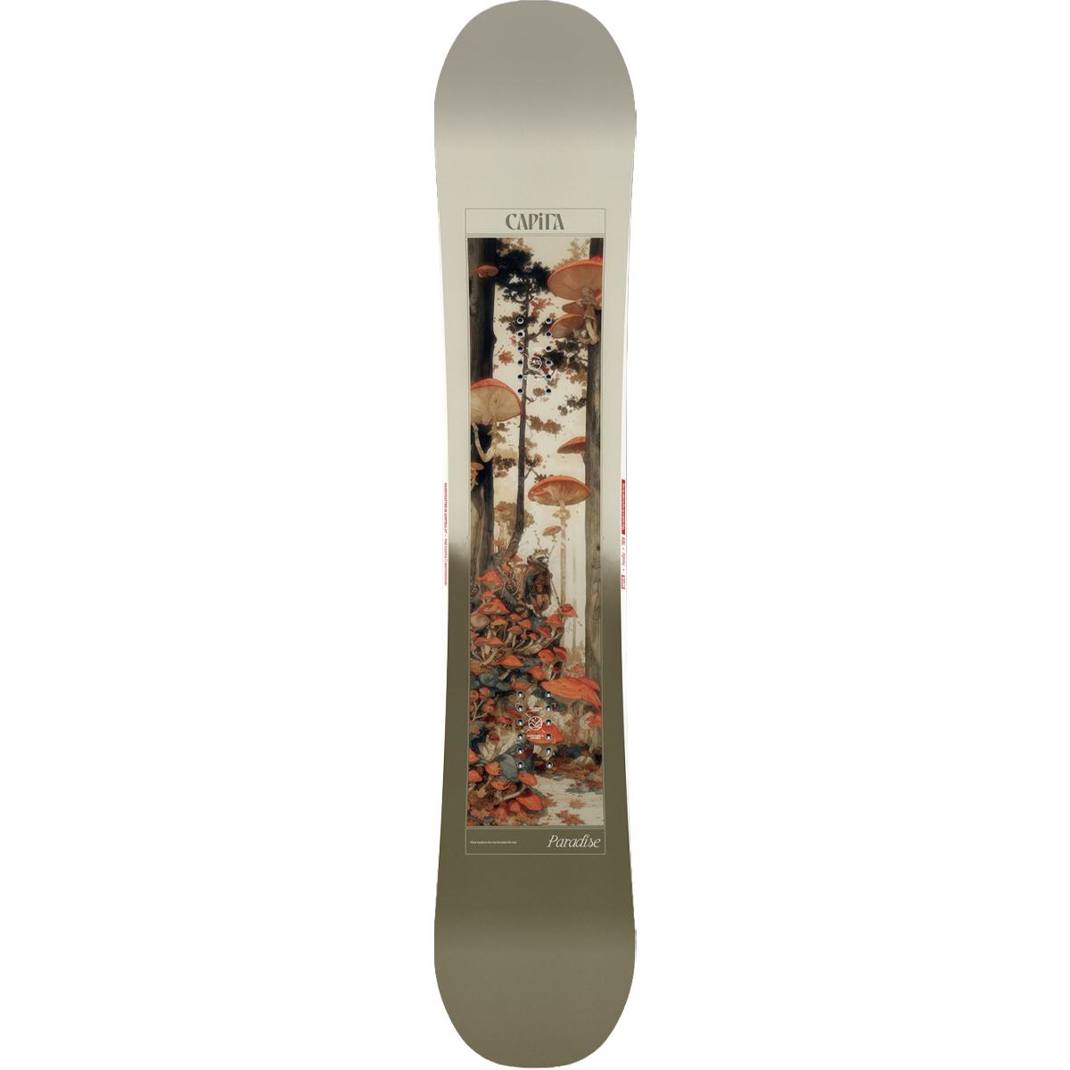 Women's Paradise alternate view