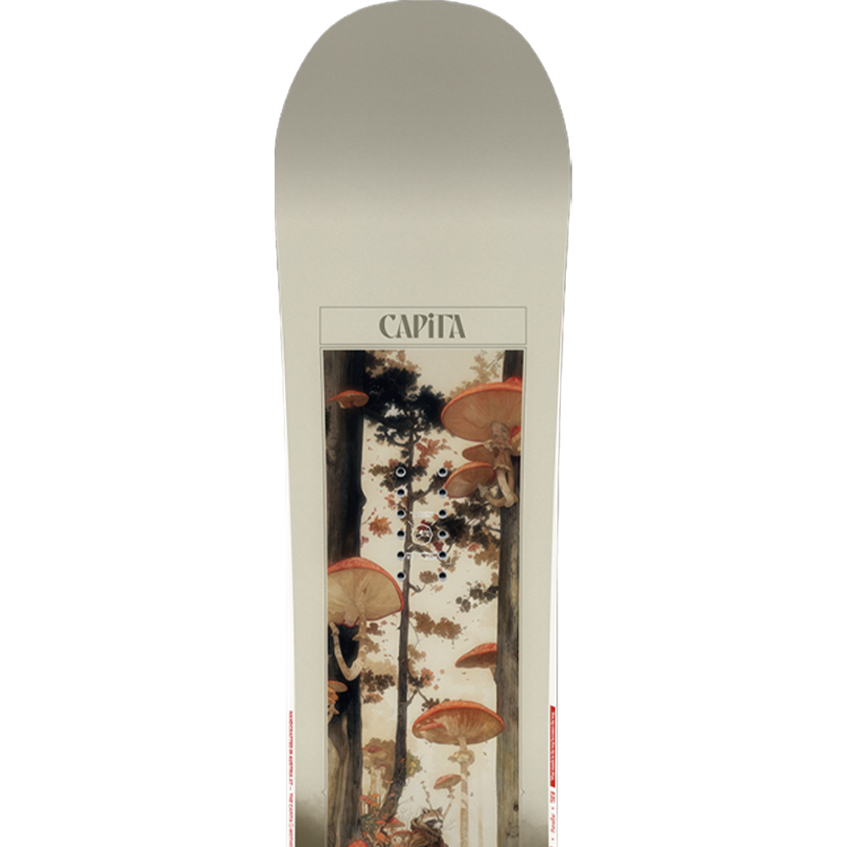 Women's Paradise alternate view