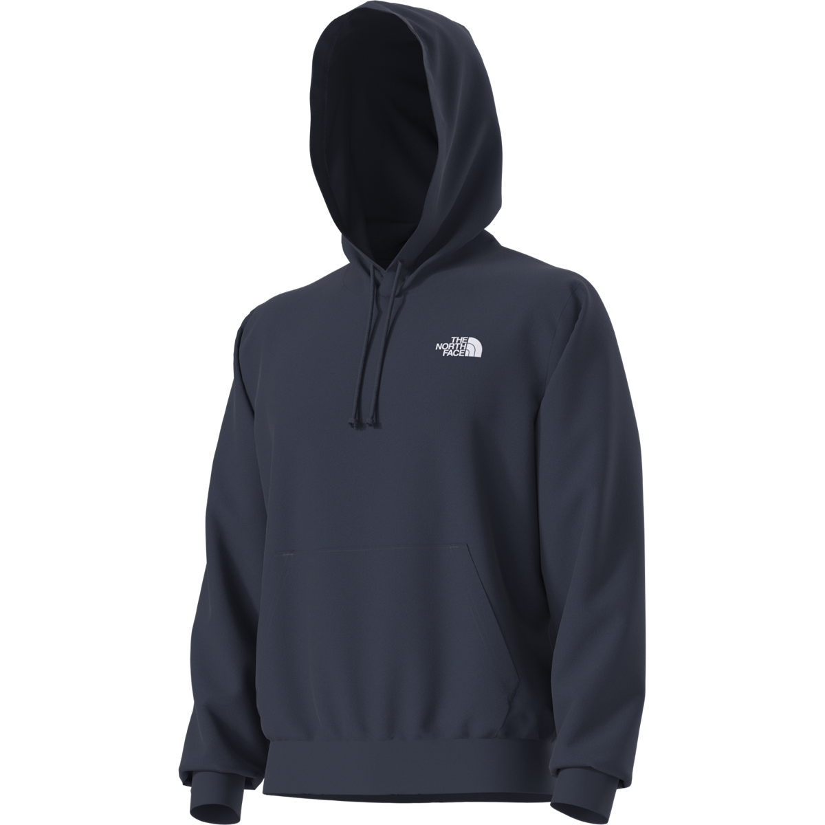Men's Evolution Box NSE Regular Hoodie alternate view