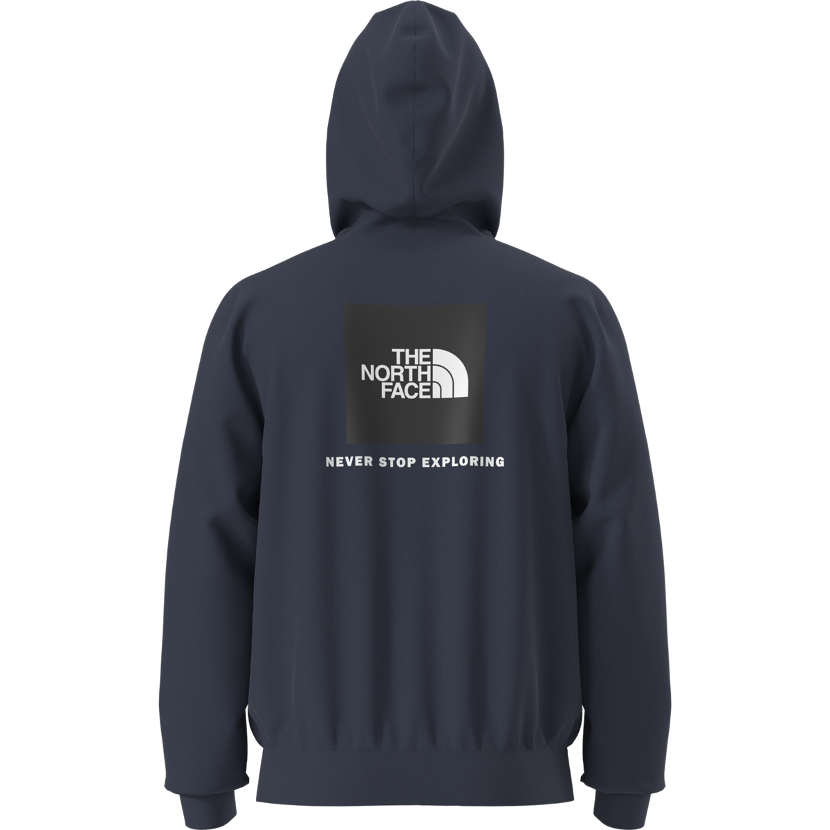Men's Evolution Box NSE Regular Hoodie alternate view