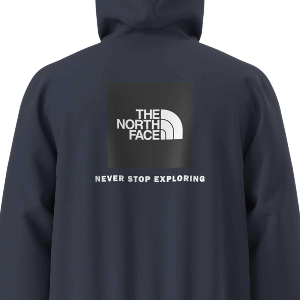 Men's Evolution Box NSE Regular Hoodie alternate view