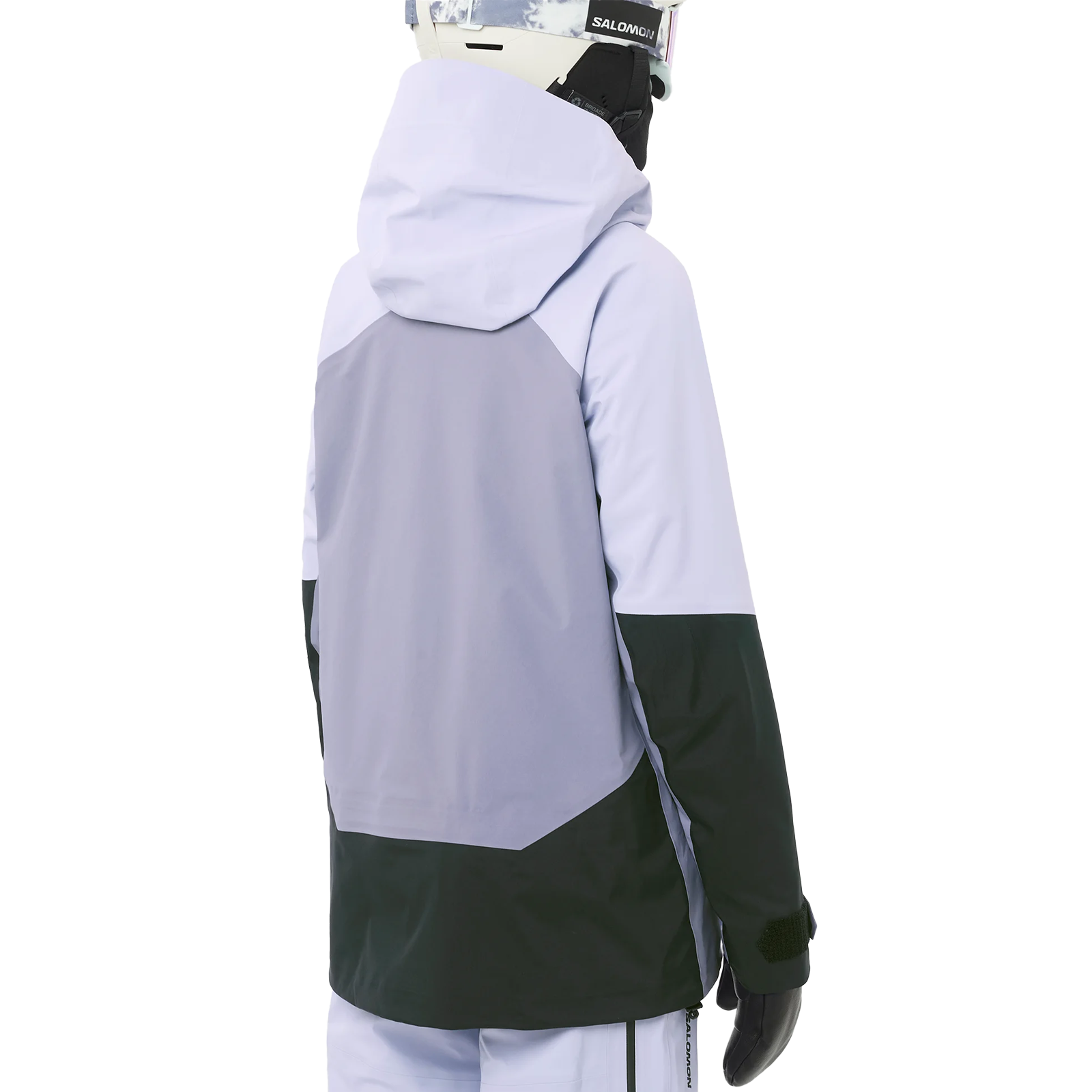 Women's Moon Patrol Gore-Tex Jacket alternate view