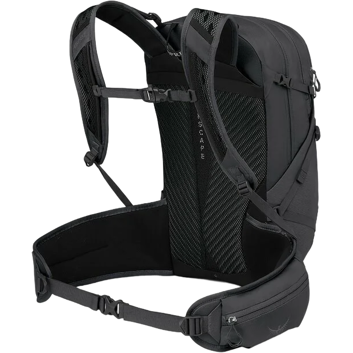 Sportlite 25 Extended Fit alternate view