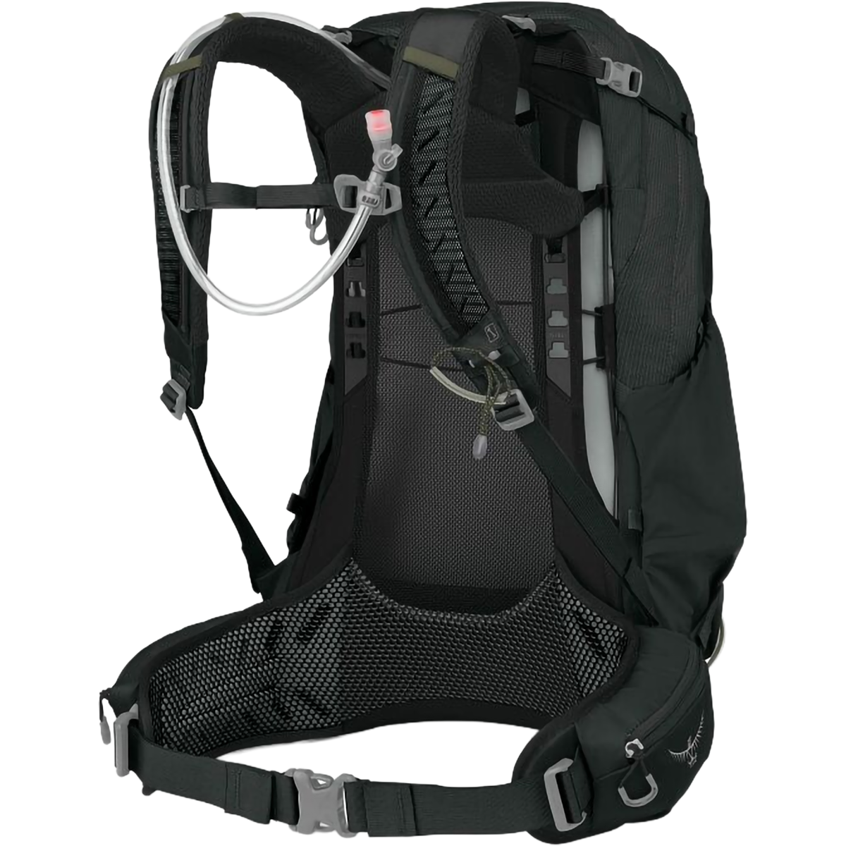 Manta 34 (2026)-Dark Charcoal