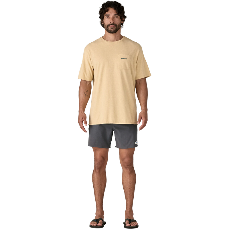 Men's Homewaters Volley Short, Patagonia Men's Homewaters Volley Short full body view on model