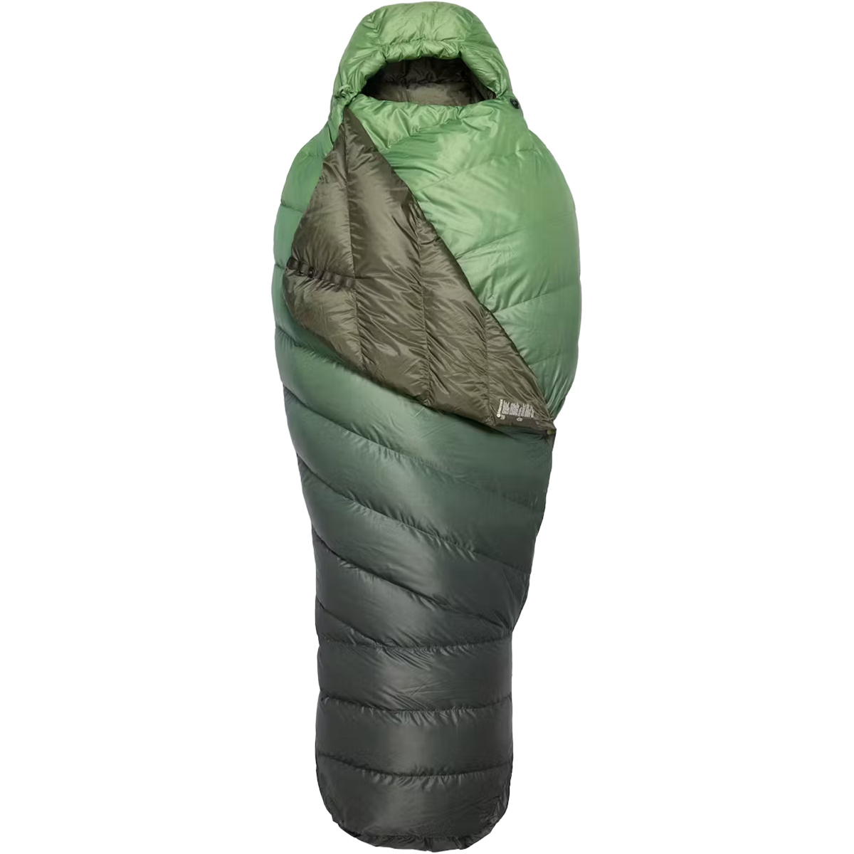 Wraptor 30 Down Short alternate view
