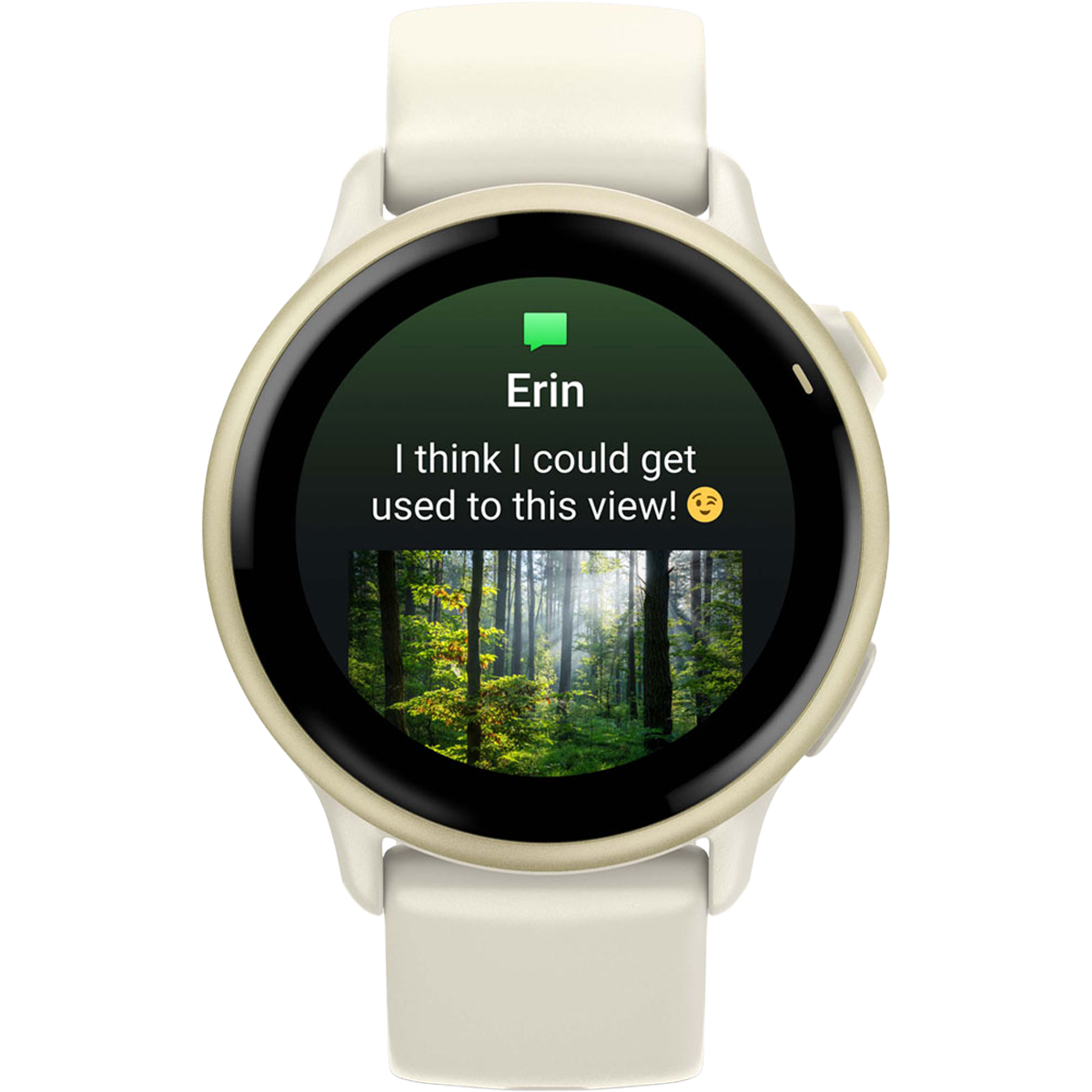Vivoactive 6 alternate view