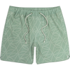 SAG-Sage Green