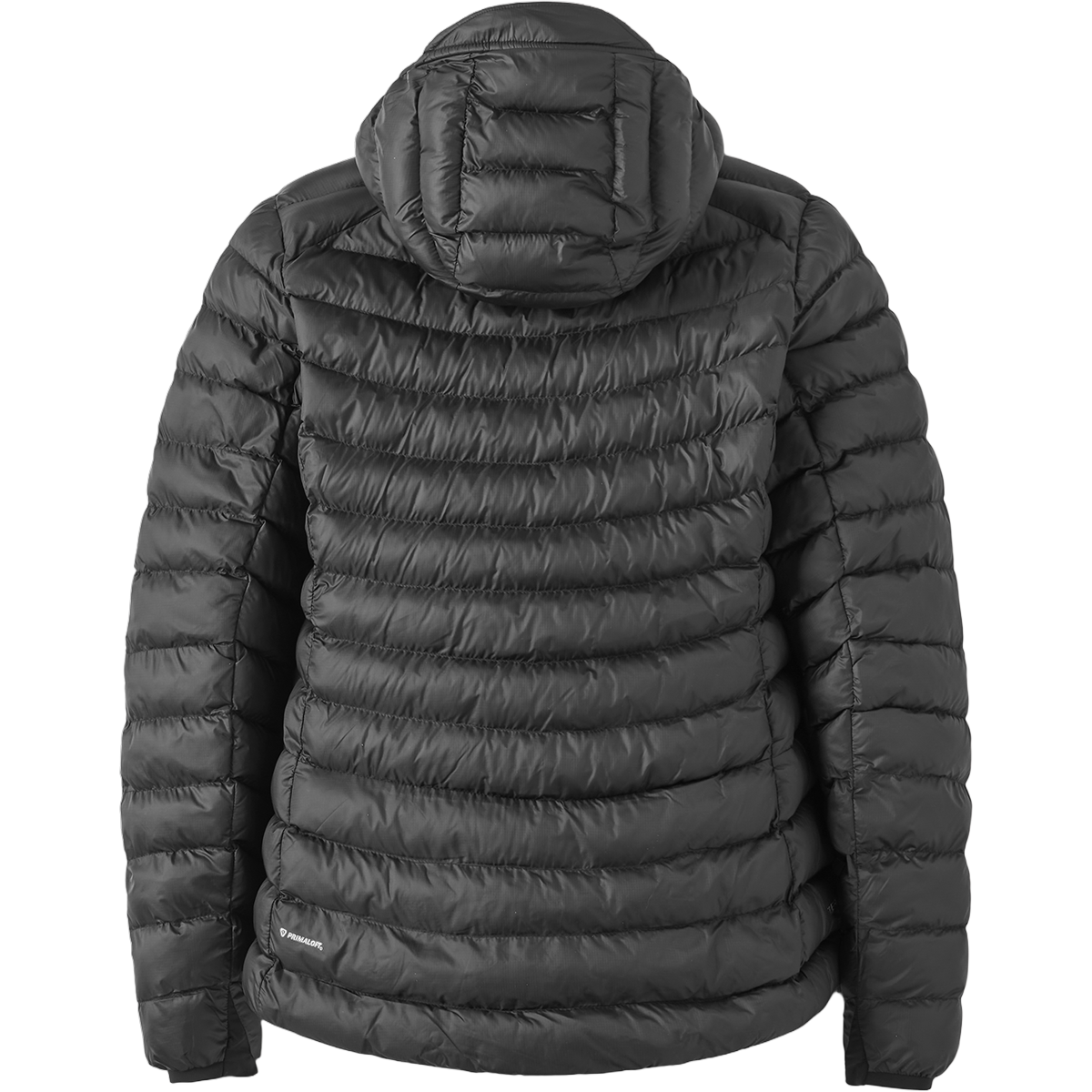 Women's Cirrus Alpine Jacket alternate view
