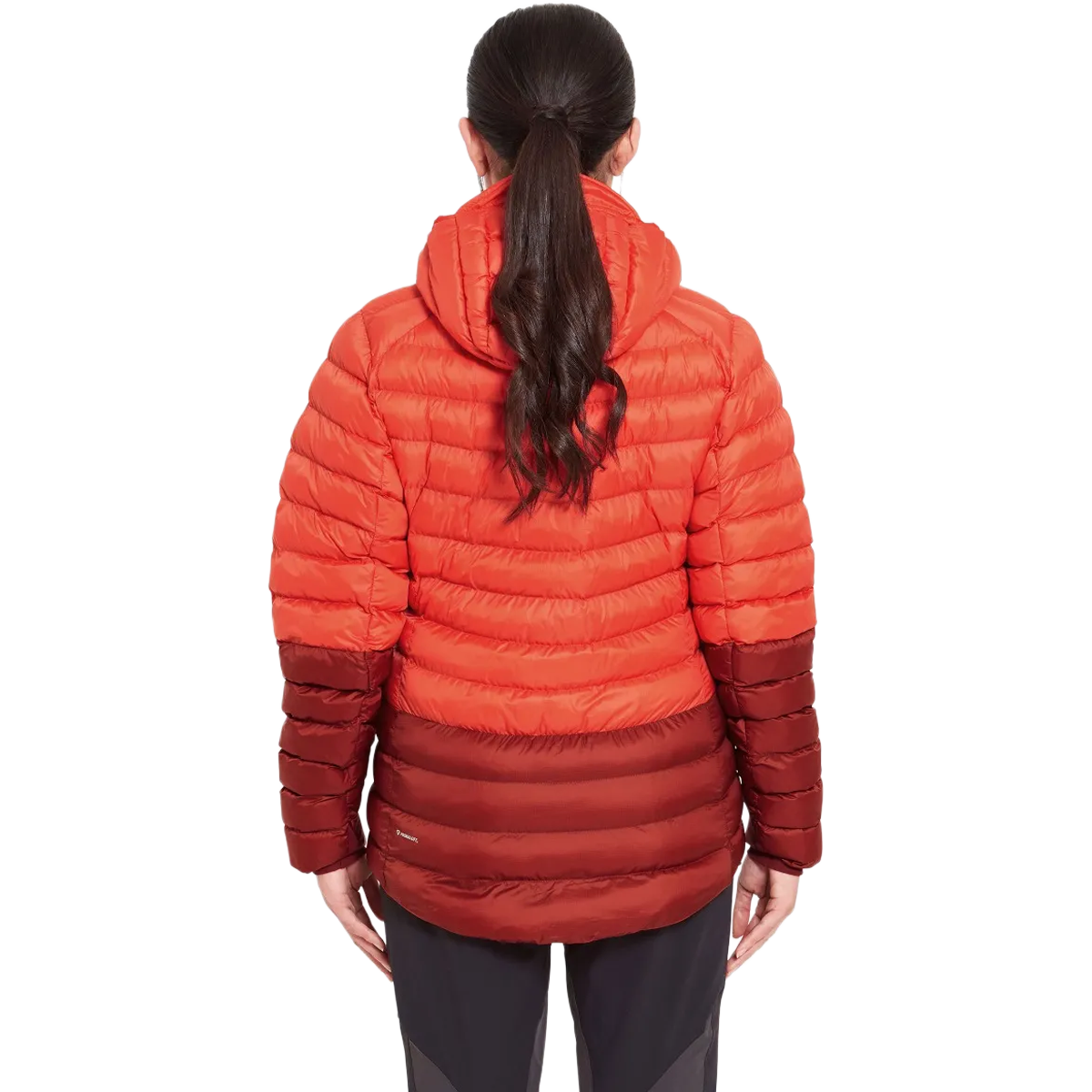 Women's Cirrus Alpine Jacket alternate view