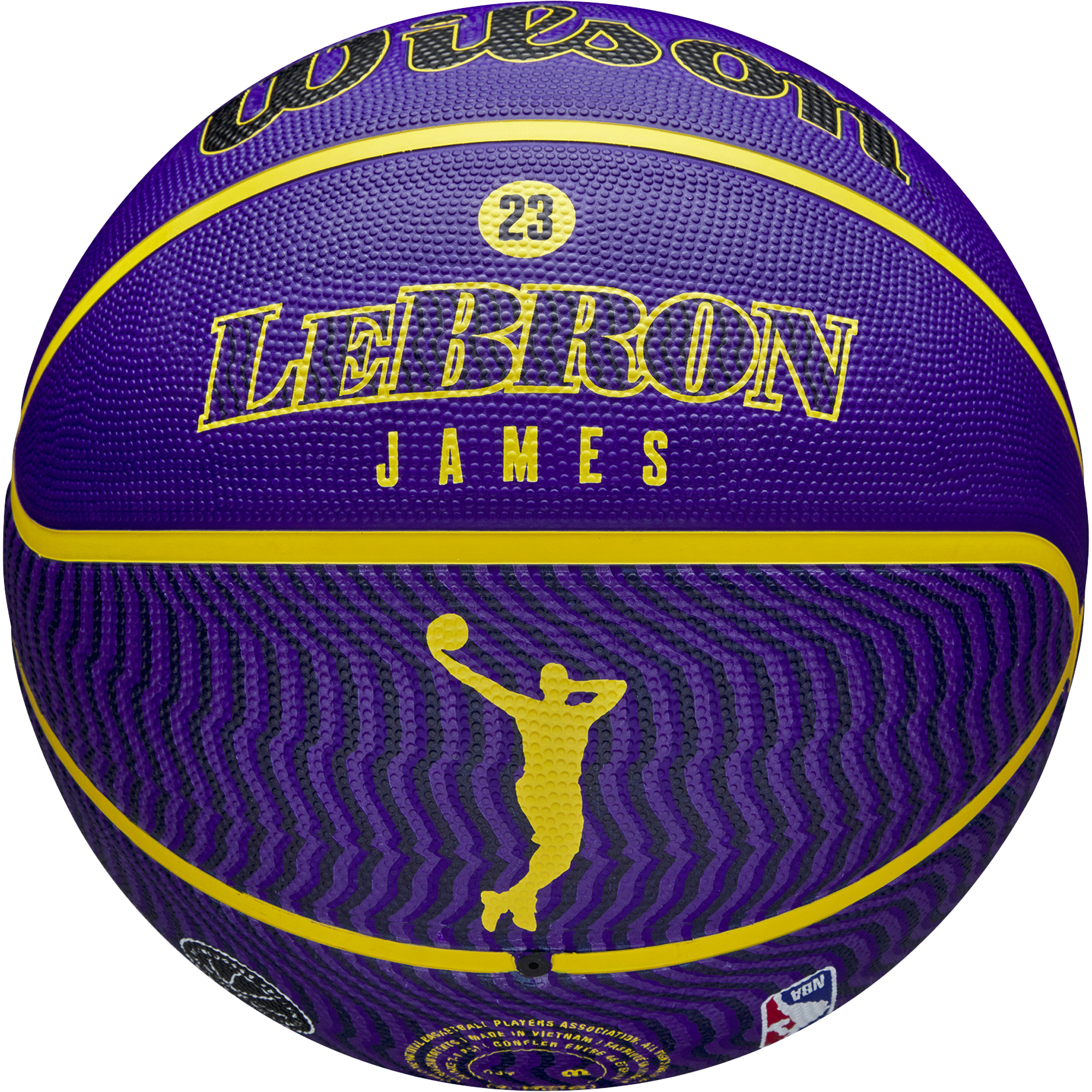NBA Player Icon Outdoor Lebron - 29.5