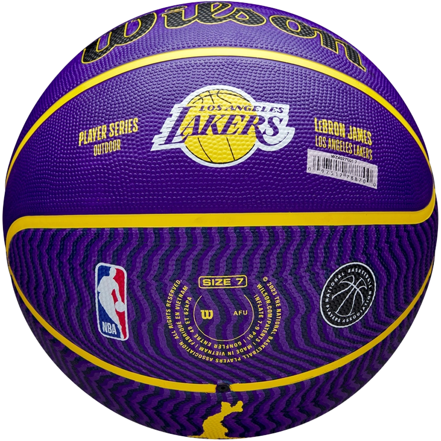 NBA Player Icon Outdoor Lebron - 29.5
