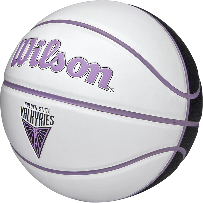 WNBA Team Autograph Mini Basketball Valkryies - 22", Wilson WNBA Team Autograph Mini Basketball Valkryies 3/4 Front