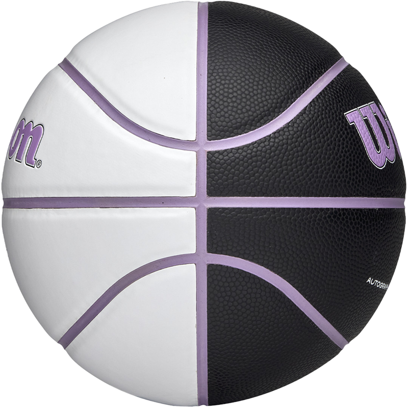 WNBA Team Autograph Mini Basketball Valkryies - 22", Wilson WNBA Team Autograph Mini Basketball Valkryies Side