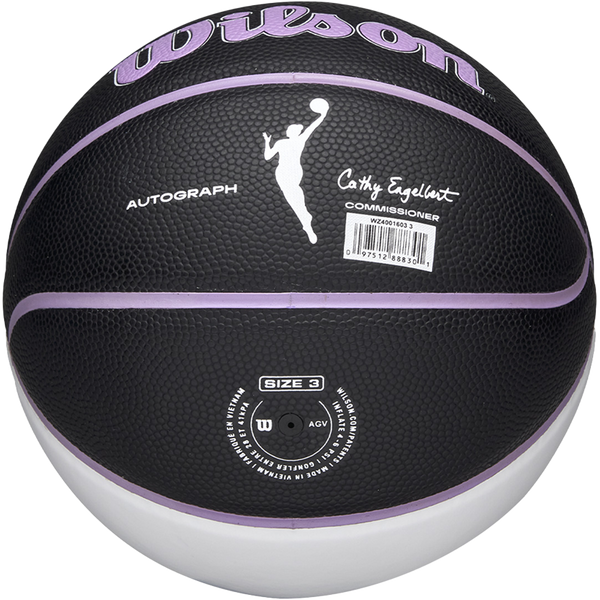 WNBA Team Autograph Mini Basketball Valkryies - 22