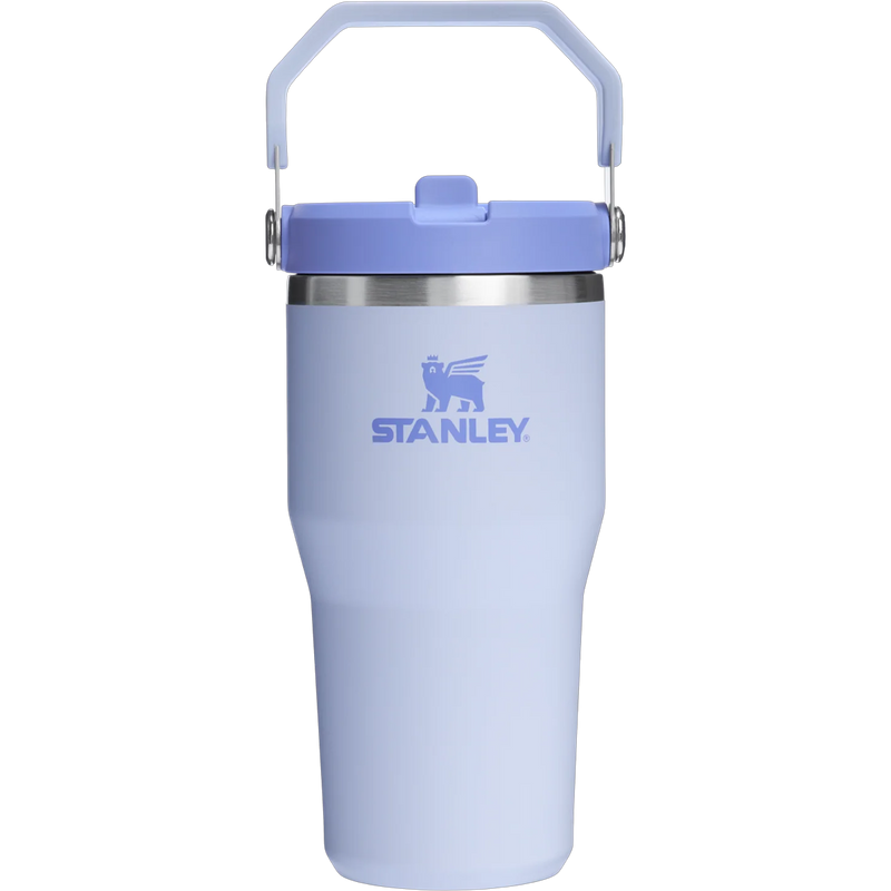 Stanley IceFlow Flip Straw 2.0 Tumbler 20oz in Dew Drop