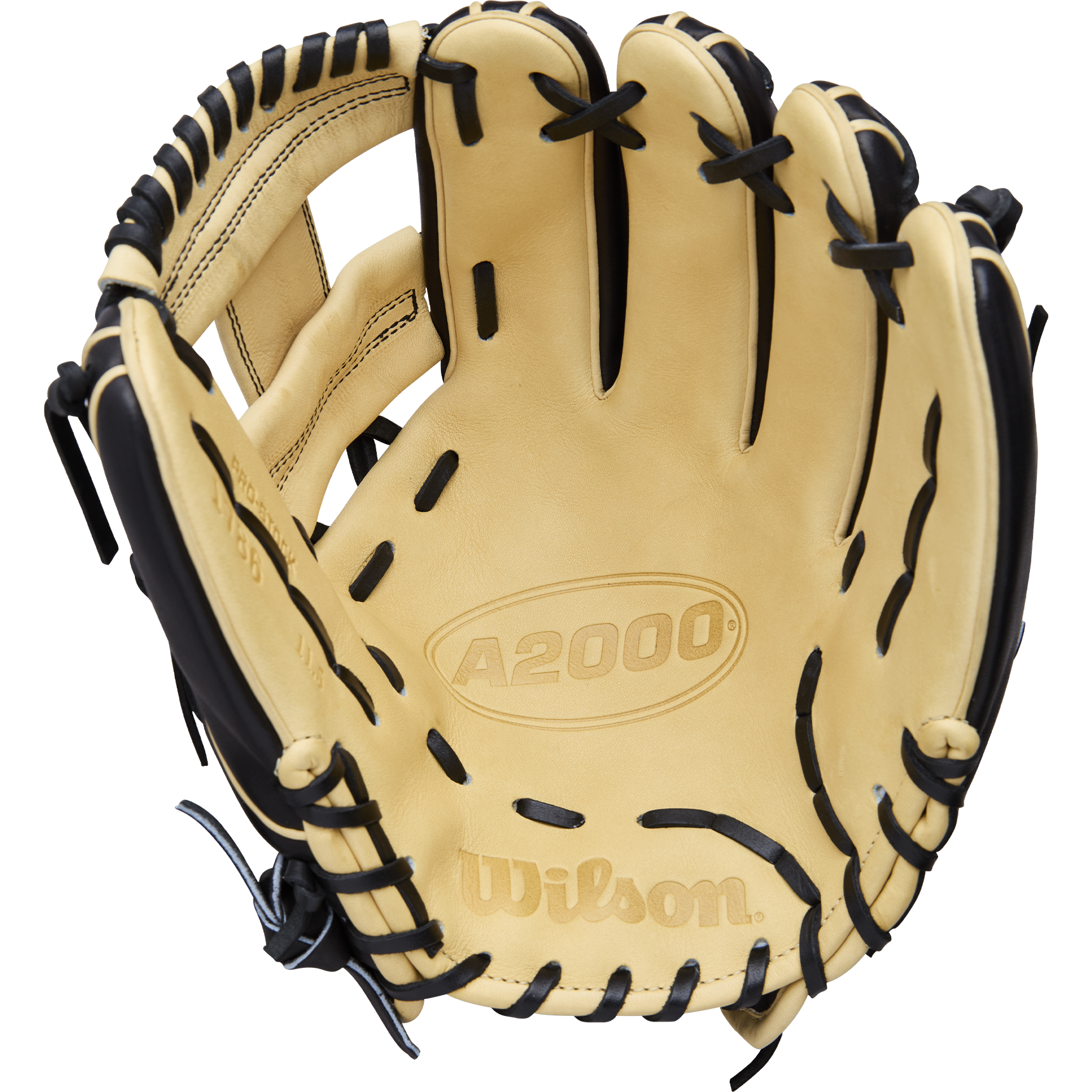 A2000 Infield - 11.5