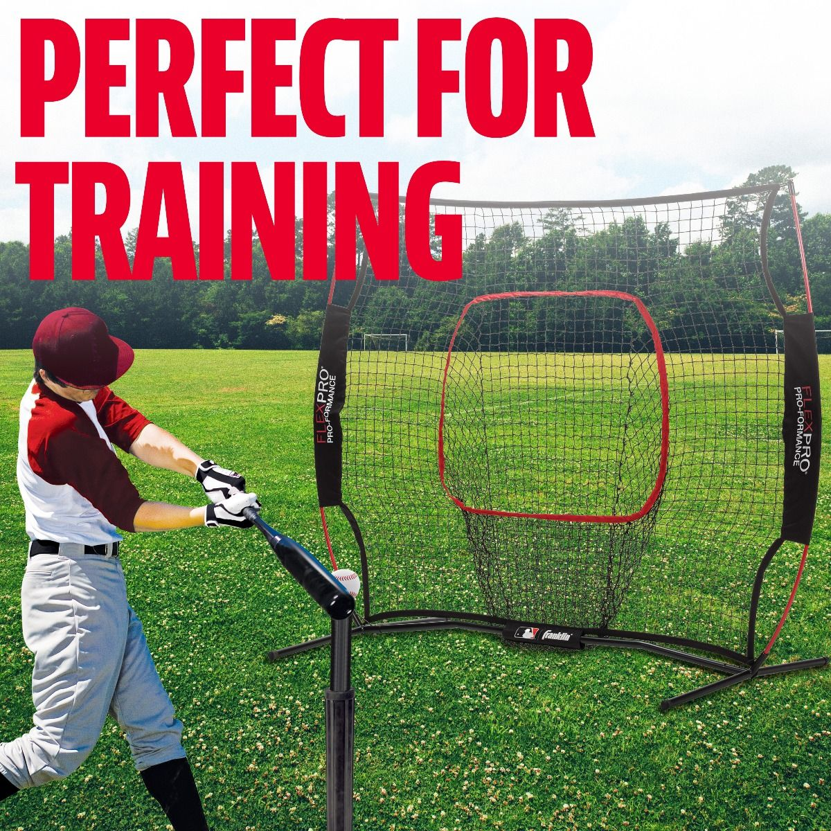 MLB Flexpro Net alternate view