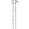 3062-Deep Woods