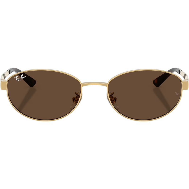 RB3774D - Arista Gold/Dark Brown, Featured Image