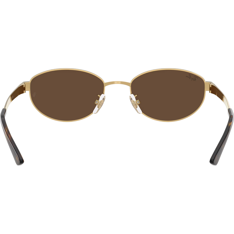 RB3774D - Arista Gold/Dark Brown, Ray Ban RB3774D - Arista Gold/Dark Brown front back