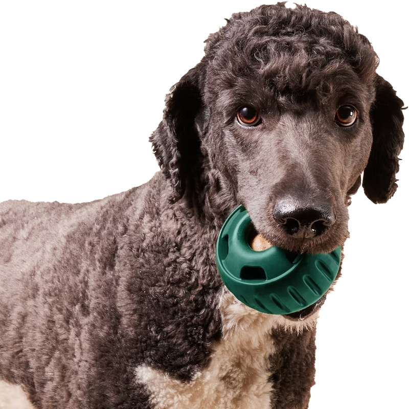 The Pupsicle, Woof The Pupsicle with Dog