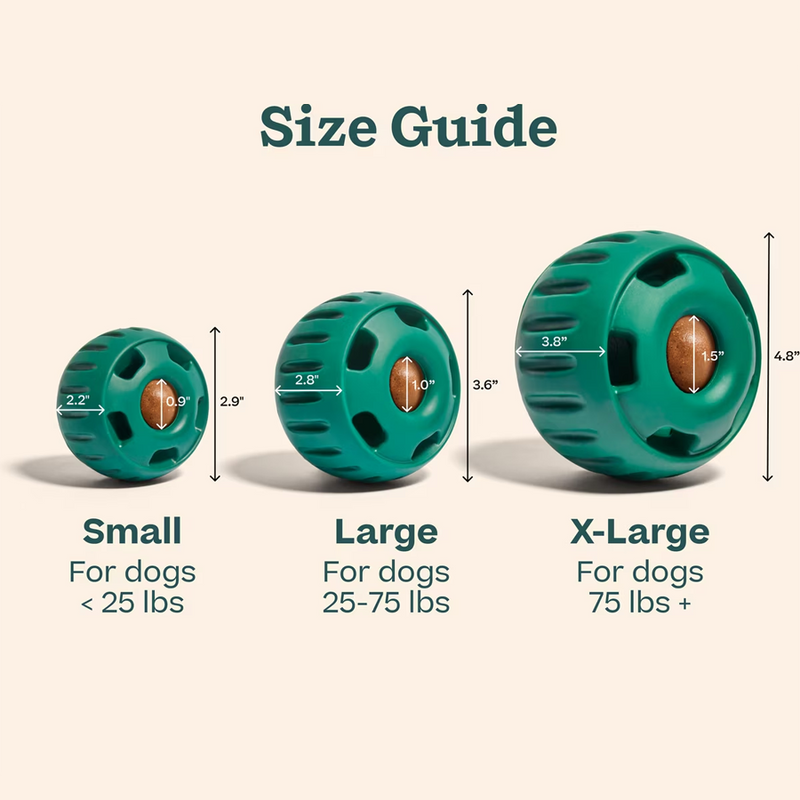 The Pupsicle, Woof The Pupsicle Size Guide