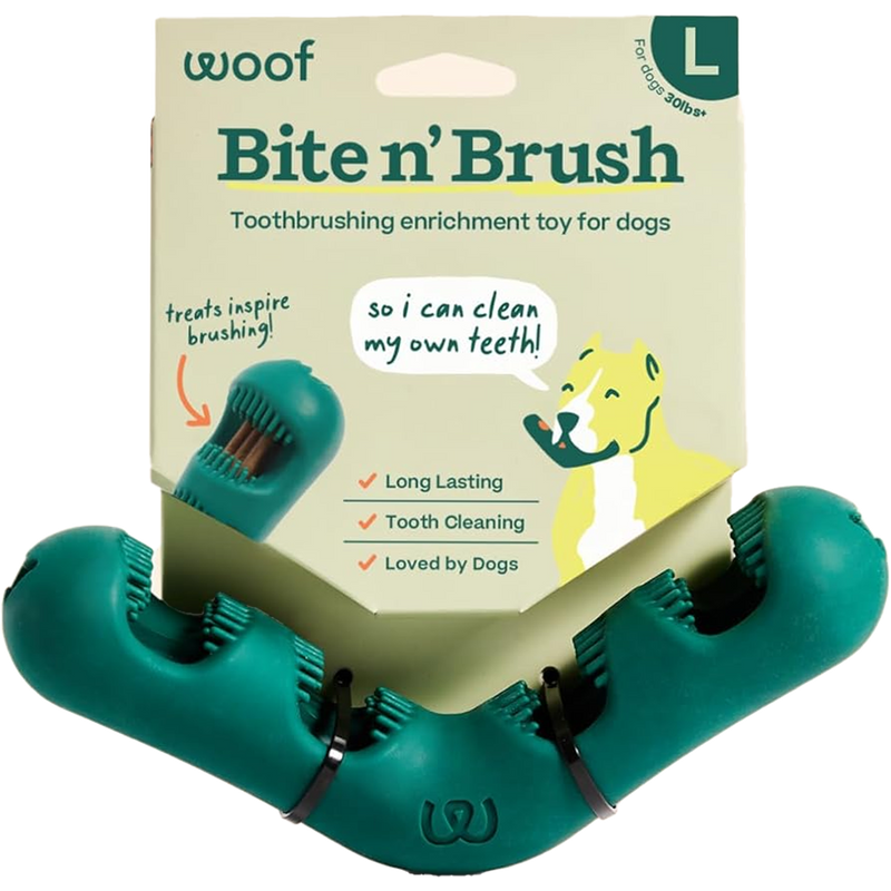 The Bite N' Brush, Featured Image