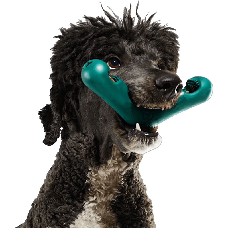 The Bite N' Brush, Woof The Bite N' Brush with Dog