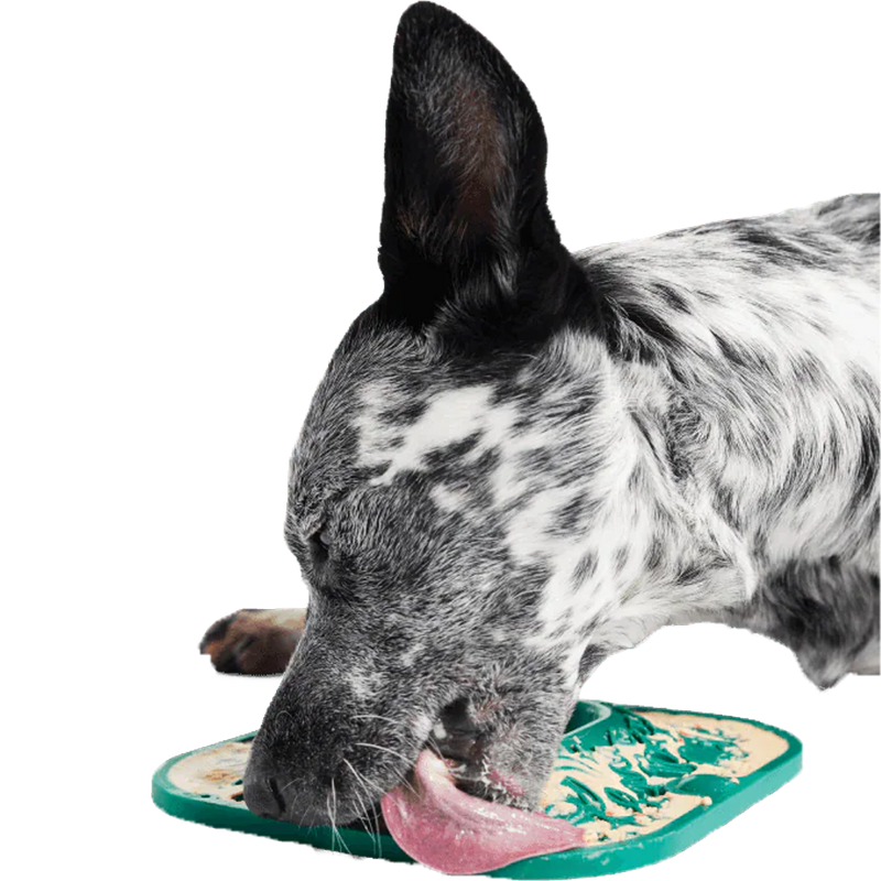 Lickmat, Woof Lickmat Lifestyle
