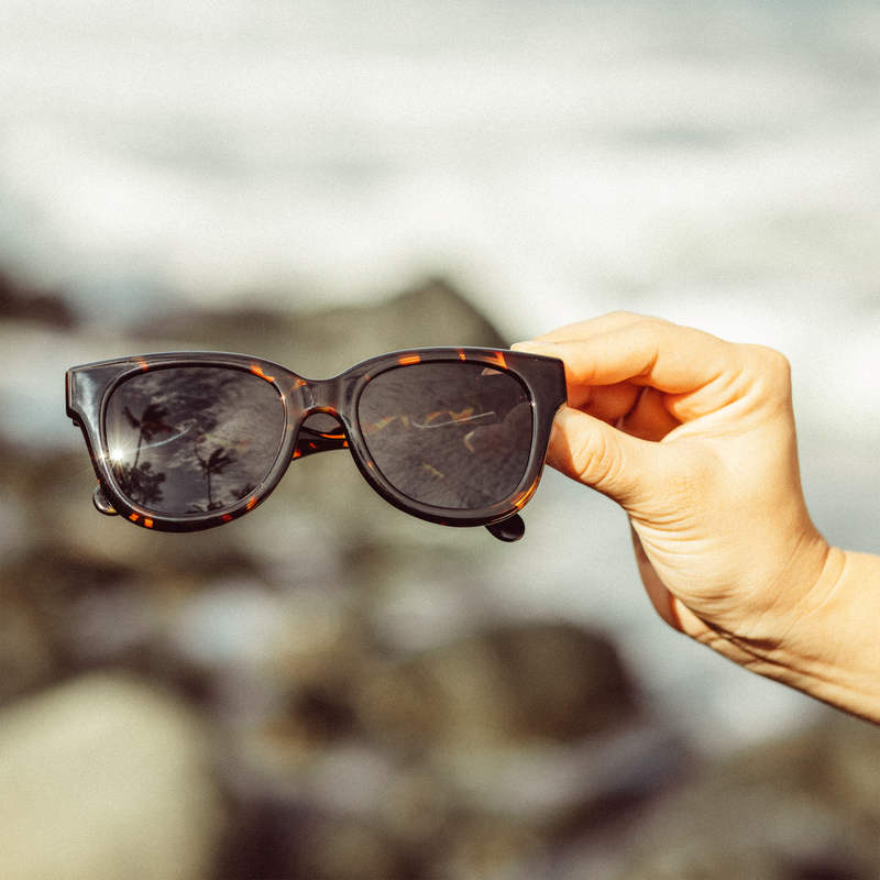Minette Tortoise Slate, SunskiMinette Tortoise Slate with model