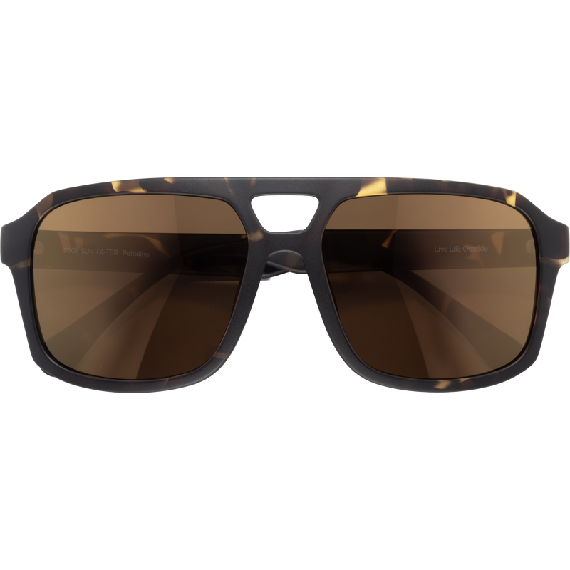 Paladino Tortoise Bronze, Featured Image