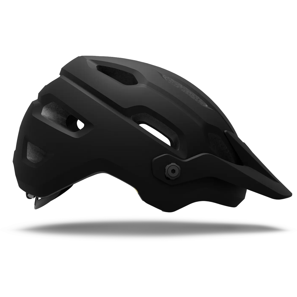 Source MIPS alternate view