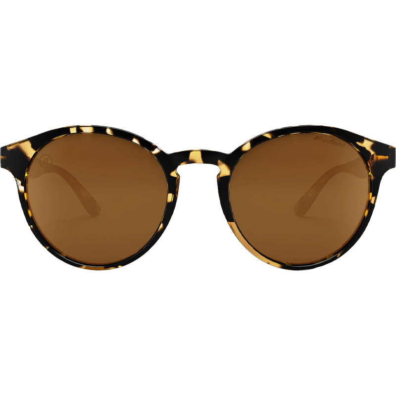 Coastal X2 - Tort, Featured Image