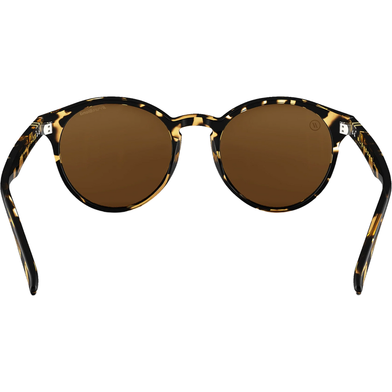 Coastal X2 - Tort, Blenders Coastal X2 Tort behind lenses