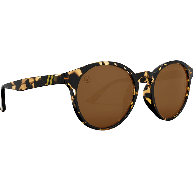 Coastal X2 - Tort, Blenders Coastal X2 Tort 3/4 view